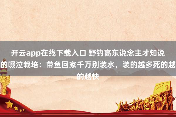 开云app在线下载入口 野钓高东说念主才知说念的啜泣栽培：带鱼回家千万别装水，装的越多死的越快