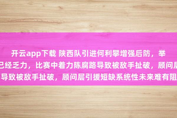 开云app下载 陕西队引进何利攀增强后防，举座结识不少但战术应变已经乏力，比赛中着力陈腐路导致被敌手扯破，顾问层引援短缺系统性未来难有阻难