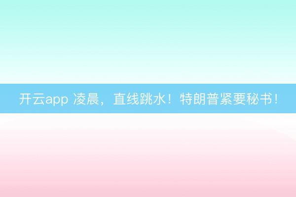 开云app 凌晨，直线跳水！特朗普紧要秘书！